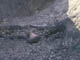 FileNo.030-038.jpg