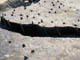FileNo.030-041.jpg
