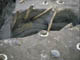 FileNo.030-045.jpg