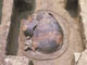 FileNo.030-051.jpg