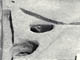 FileNo.030-053.jpg