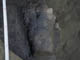 FileNo.030-054.jpg