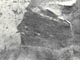 FileNo.030-055.jpg