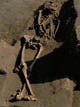 FileNo.030-059.jpg