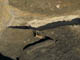 FileNo.030-069.jpg