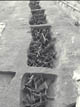 FileNo.030-071.jpg
