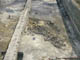 FileNo.030-091.jpg