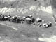 FileNo.030-113.jpg