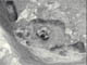 FileNo.030-117.jpg
