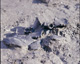 FileNo.030-127.jpg