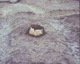 FileNo.030-129.jpg