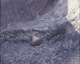 FileNo.030-137.jpg
