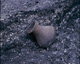 FileNo.030-138.jpg