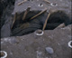 FileNo.030-145.jpg