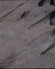 FileNo.030-150.jpg