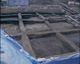 FileNo.030-153.jpg