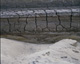 FileNo.030-164.jpg