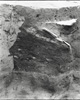 FileNo.030-183.jpg