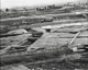 FileNo.030-185.jpg