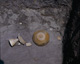 FileNo.030-187.jpg