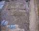 FileNo.030-204.jpg