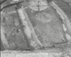 FileNo.030-207.jpg