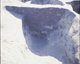 FileNo.030-211.jpg