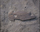 FileNo.030-223.jpg
