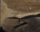 FileNo.030-227.jpg