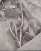 FileNo.030-228.jpg