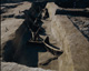 FileNo.030-231.jpg