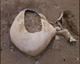 FileNo.030-236.jpg