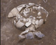 FileNo.030-238.jpg