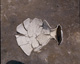 FileNo.030-241.jpg