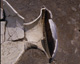 FileNo.030-242.jpg