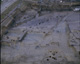 FileNo.030-243.jpg