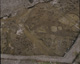 FileNo.030-247.jpg