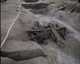 FileNo.030-250.jpg