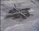 FileNo.030-251.jpg