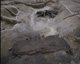 FileNo.030-252.jpg