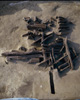 FileNo.030-254.jpg