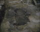 FileNo.030-255.jpg