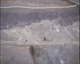 FileNo.030-262.jpg