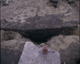 FileNo.030-274.jpg