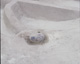 FileNo.030-283.jpg