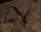 FileNo.030-300.jpg