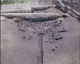 FileNo.030-310.jpg