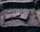 FileNo.030-311.jpg