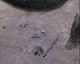 FileNo.030-313.jpg