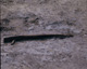FileNo.030-314.jpg